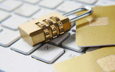 Cybersecurity for Your Financial Records:  How to Protect Your Business Books